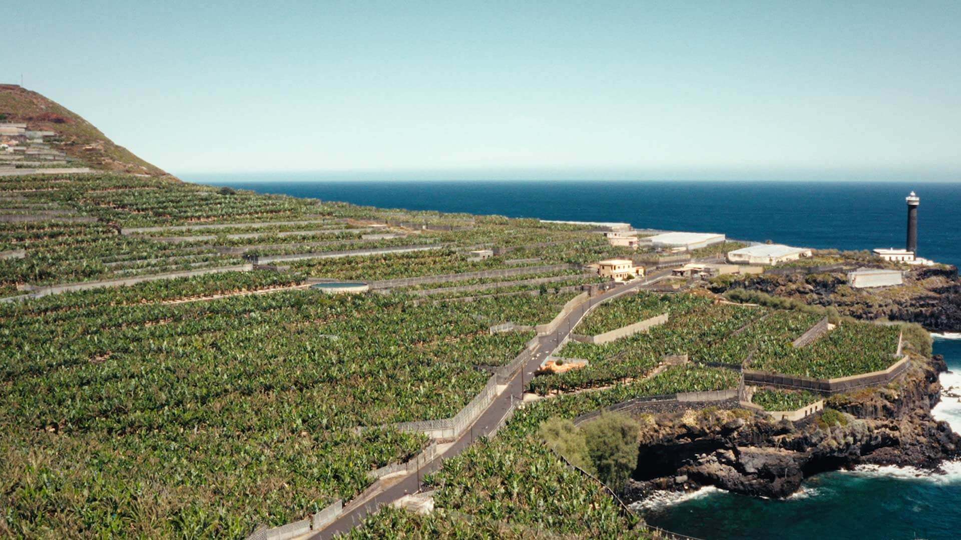 Bananenplantagen, La Palma