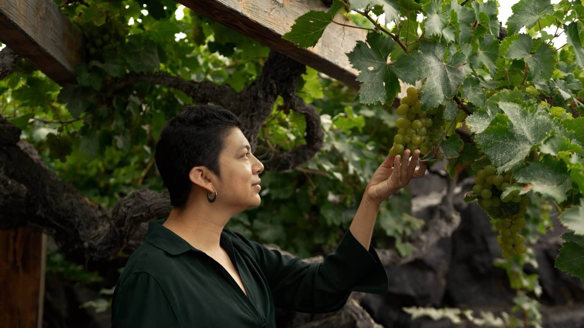 El Grifo – Lanzarote