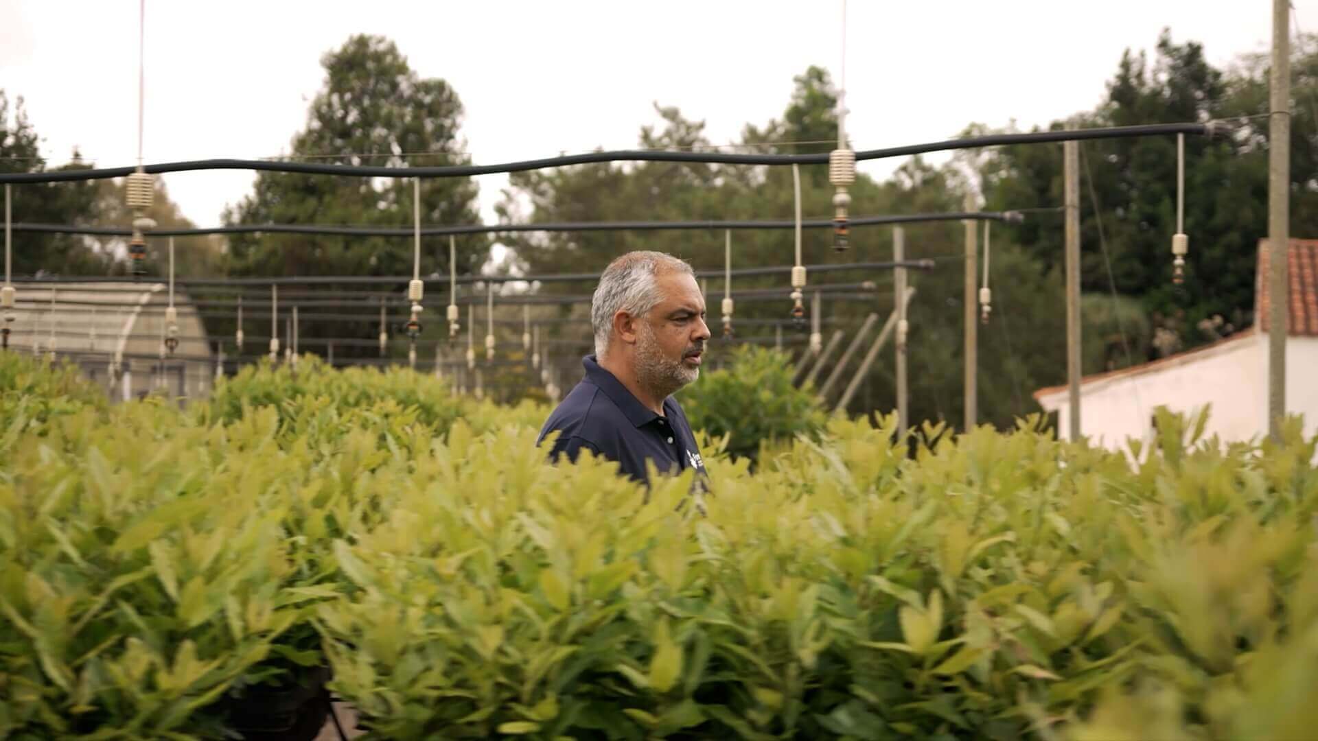 Fundación Foresta – Gran Canaria