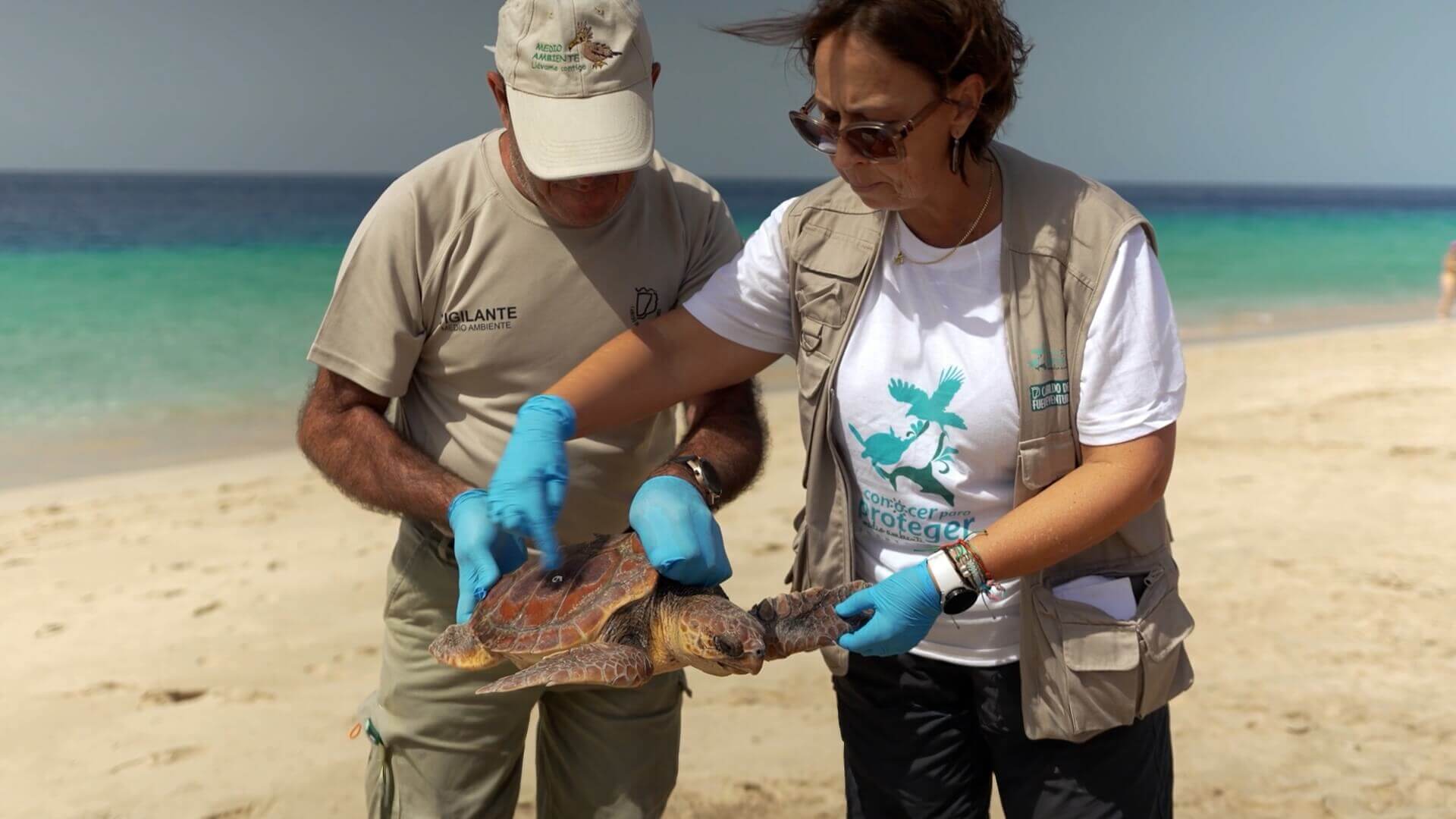 Proyecto Tortugas – Fuerteventura