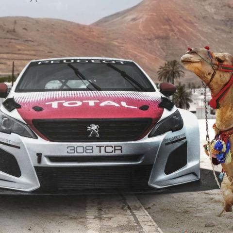 20241013_rally_yaiza