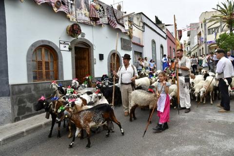 Romería San Juan Bautista, Arucas