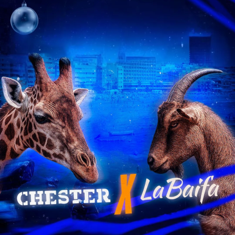 chester_x_la_baifa