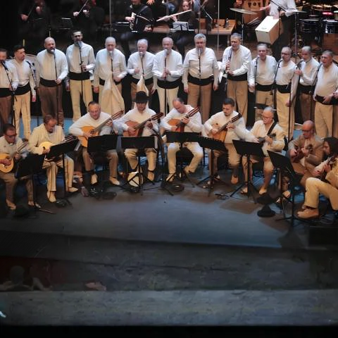 concierto_gofiones_finados_noche