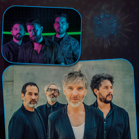 elefantes_sex_sodio_sullivan