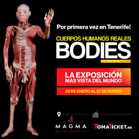 expo bodies