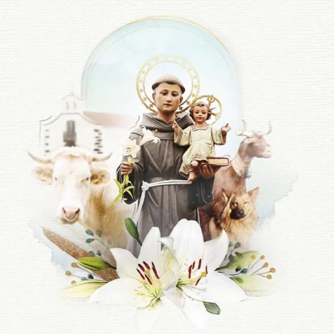 fiestas_san_antonio_monte