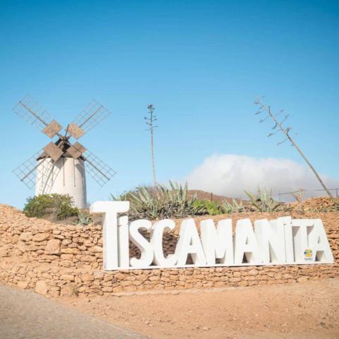 tiscamanita_san_marcos