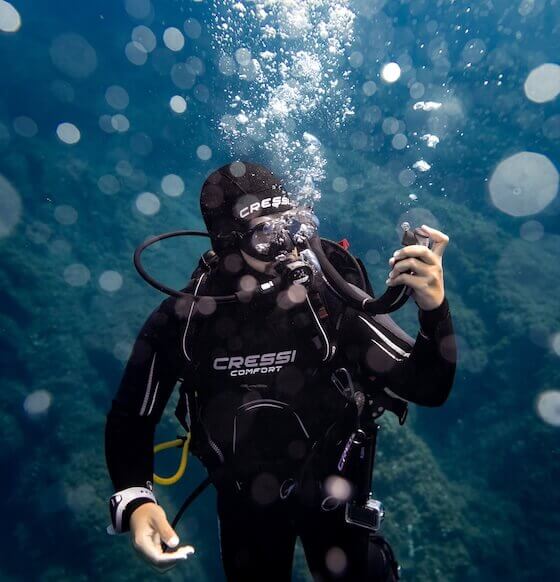 El Bajón. El Hierro