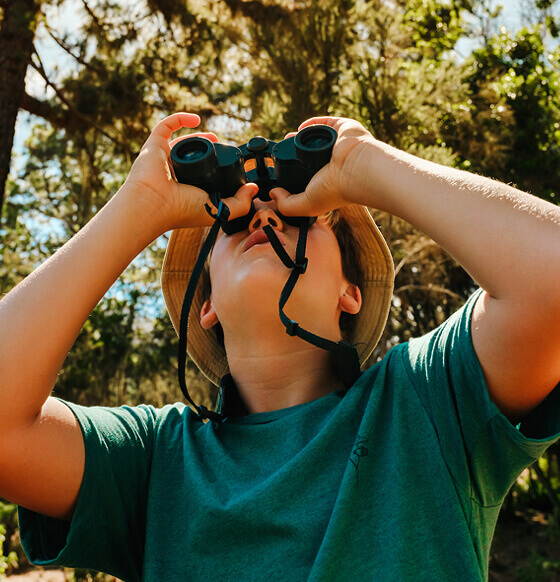 Eine Person beobachtet den Wald mit einem Fernglas im Sonnenlicht.