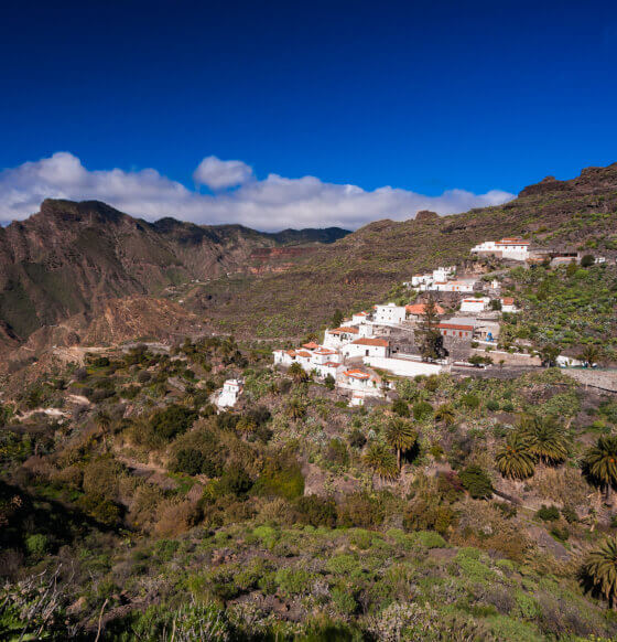 Carrizal de Tejeda