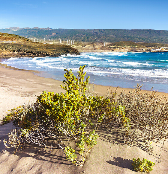 Playa Grande - listado