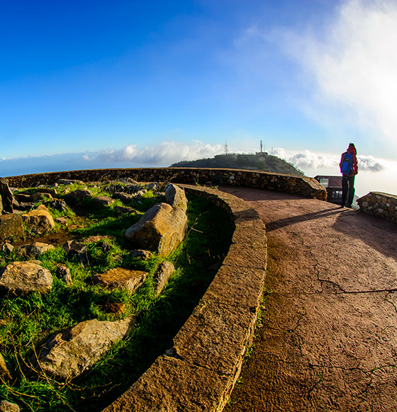 Mirador Altos de Garajonay