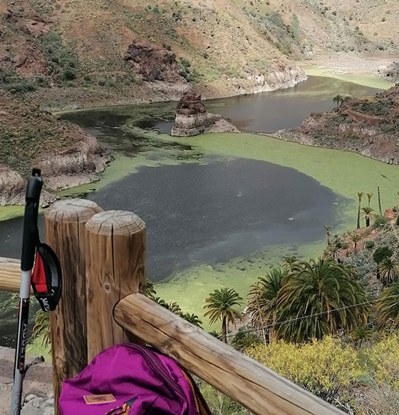 Mirador de la Sorrueda. Gran Canaria