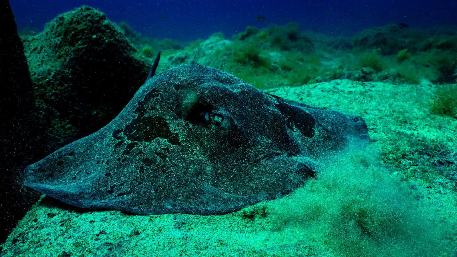 Cueva de Matanza Hallo Kanarische Inseln