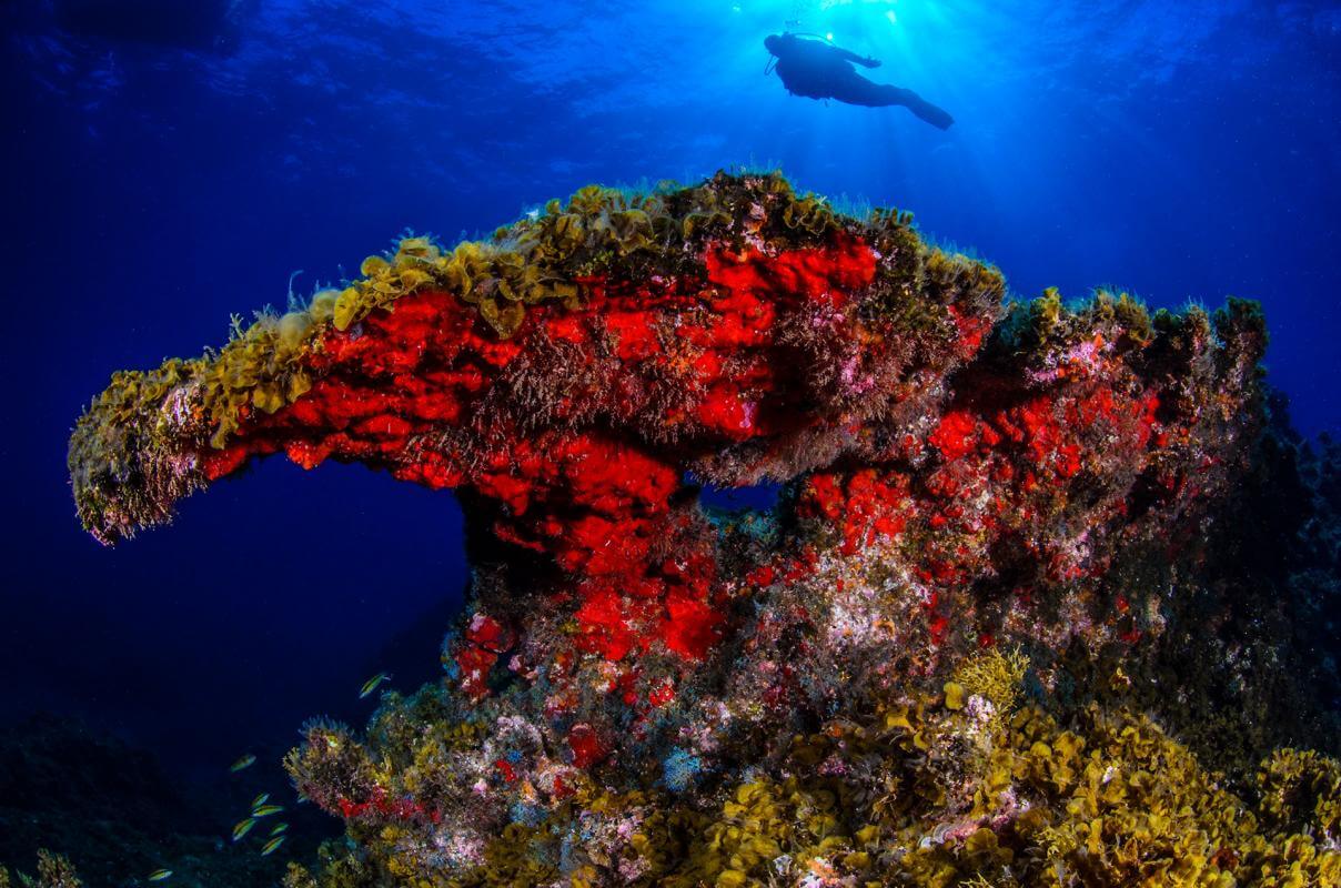 El Hierro. Mar de las Calmas