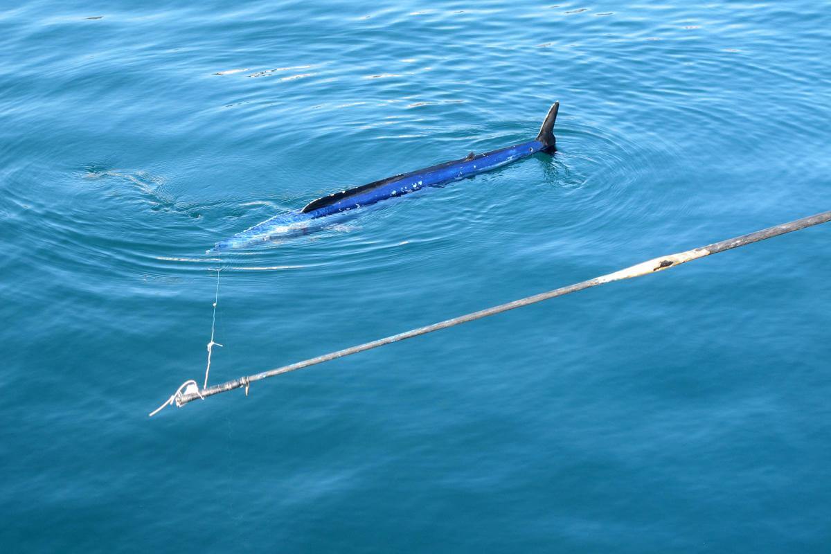 El Hierro. Pesca  Artesanal. Peto