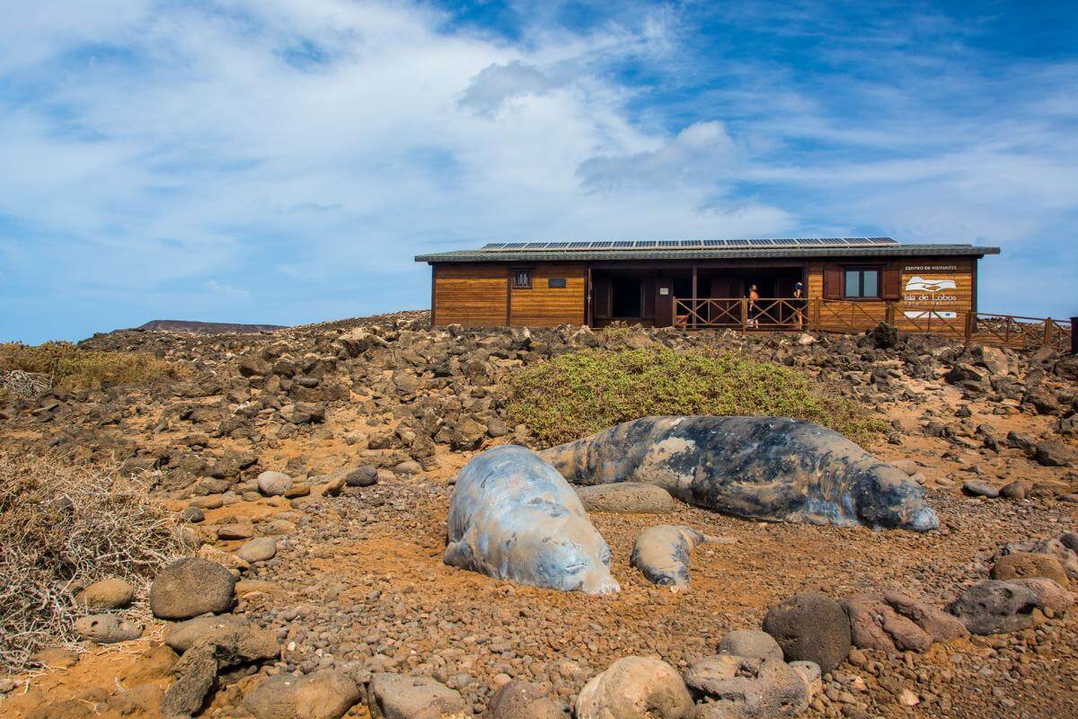 Fuerteventura  Islote Lobos 