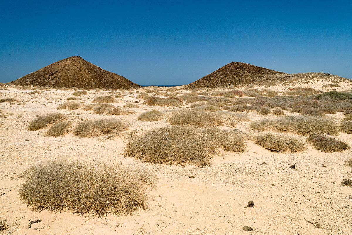 Fuerteventura  Islote Lobos 