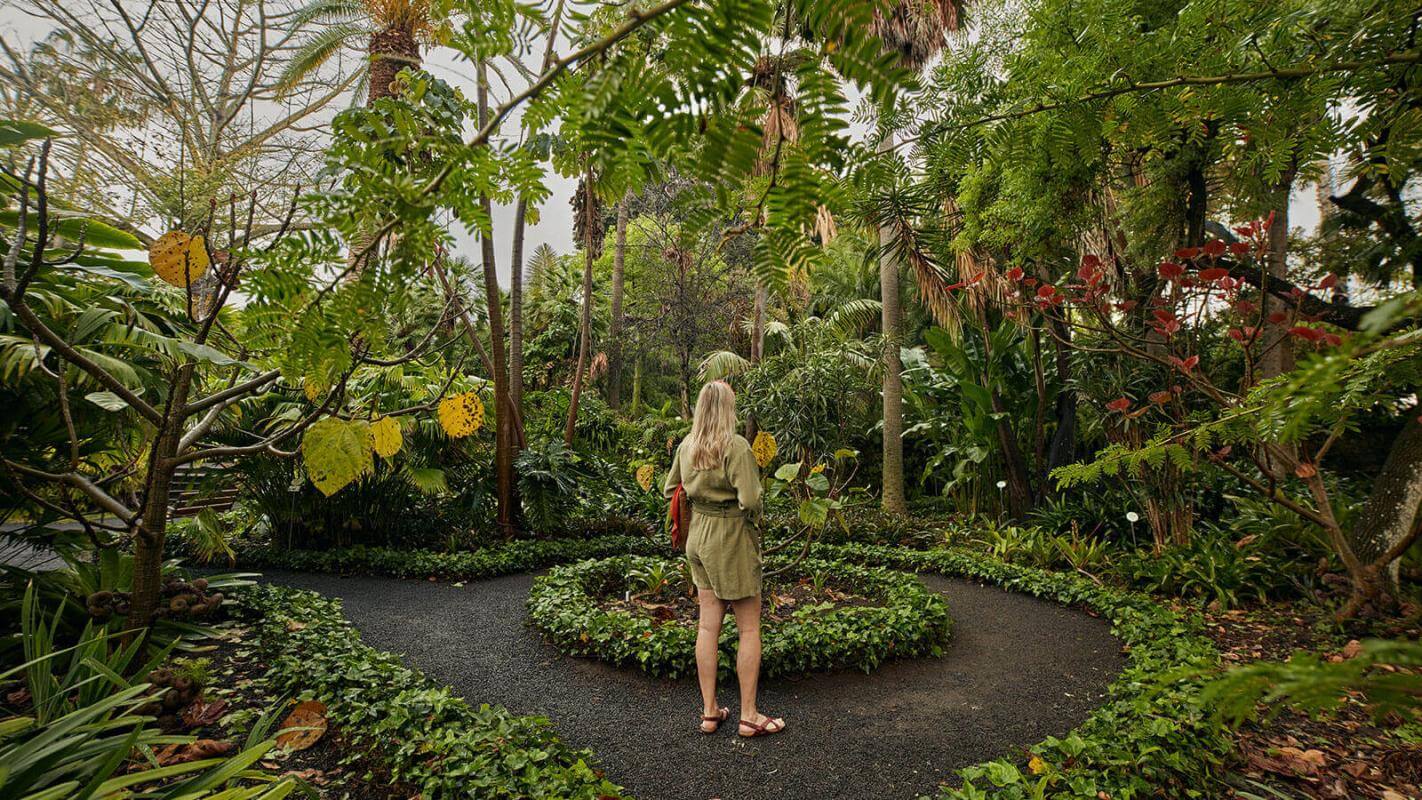 Akklimatisierungsgarten in La Orotava (Tenerife)