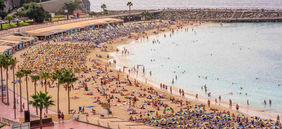 Playa de Amadores  Beliebte Strände auf Gran Canaria