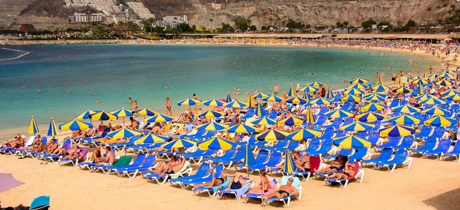 Playa de Amadores  Beliebte Strände auf Gran Canaria