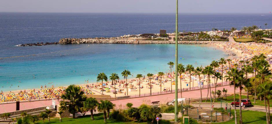 Playa de Amadores  Beliebte Strände auf Gran Canaria