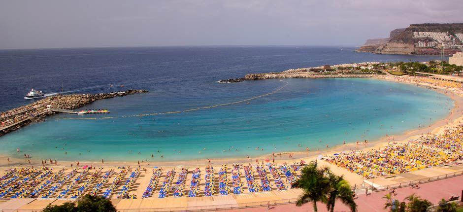Playa de Amadores  Beliebte Strände auf Gran Canaria