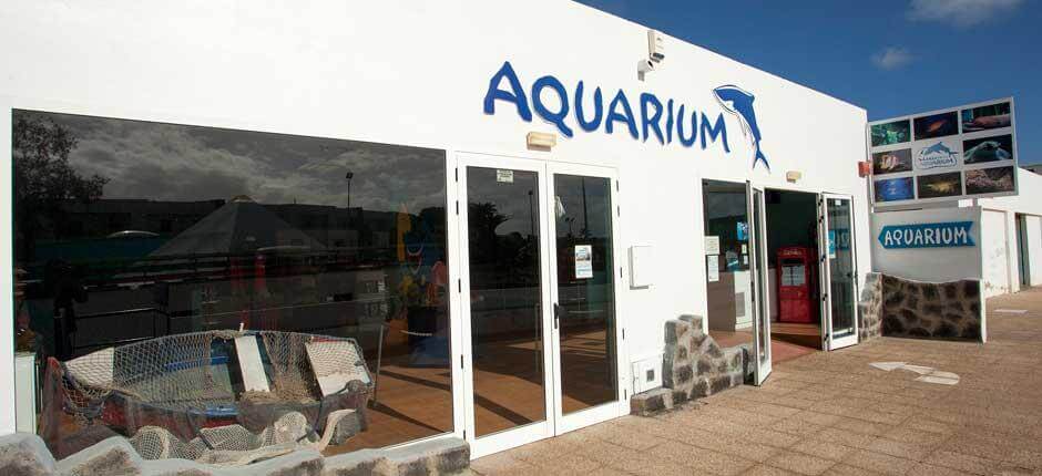 Aquarium Aquarien auf Lanzarote