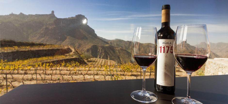 Weingut Bentayga auf Gran Canaria