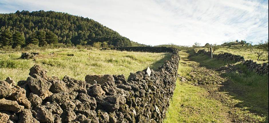 Camino de la Virgen + Wanderwege auf El Hierro