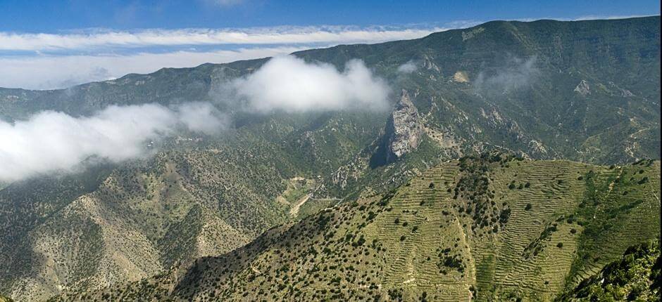 Rundweg Vallehermoso + Wanderwege auf La Gomera