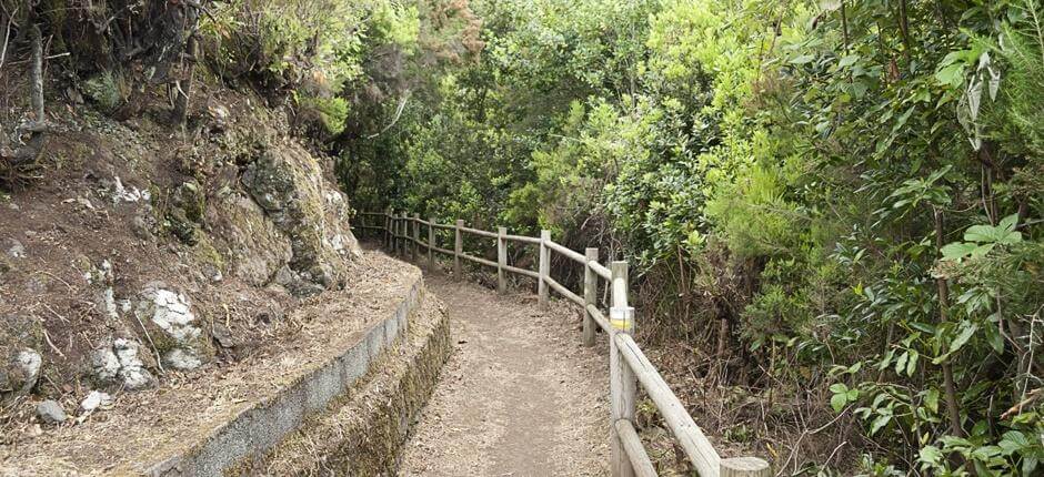 Cubo de la Galga + Wanderwege auf La Palma