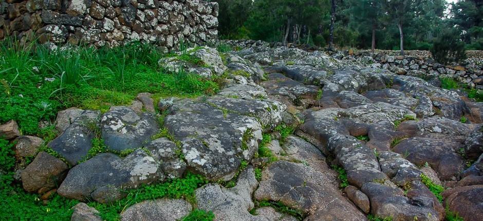 Cueva del Viento Museen und Orte von touristischem Interesse auf Teneriffa