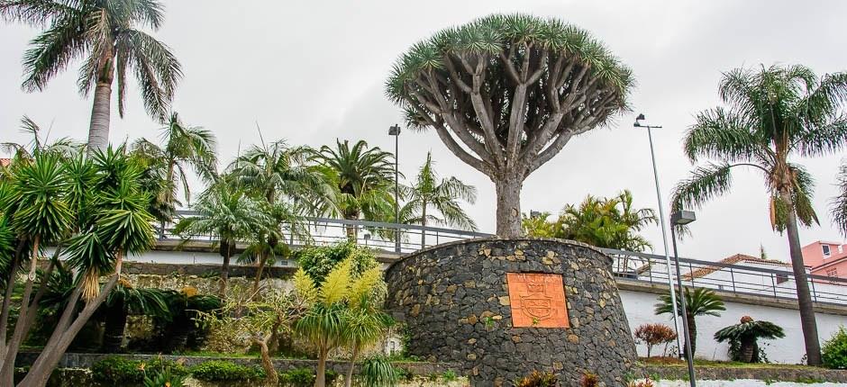 El Sauzal Orte mit Charme auf Teneriffa