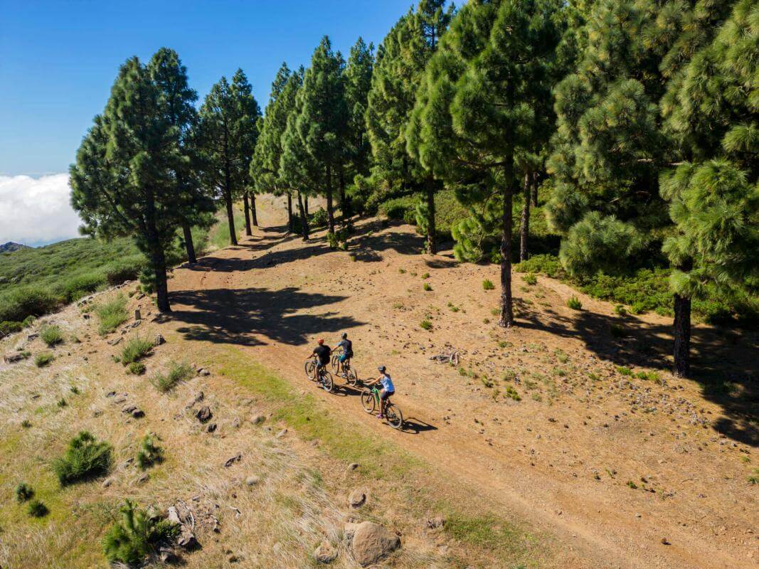 Monte de Los Noruegos en Benchijigua
