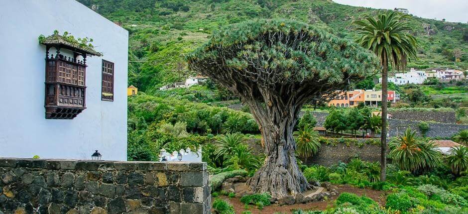 Altstadt von Icod de los Vinos + Historische Stadtkerne auf Teneriffa