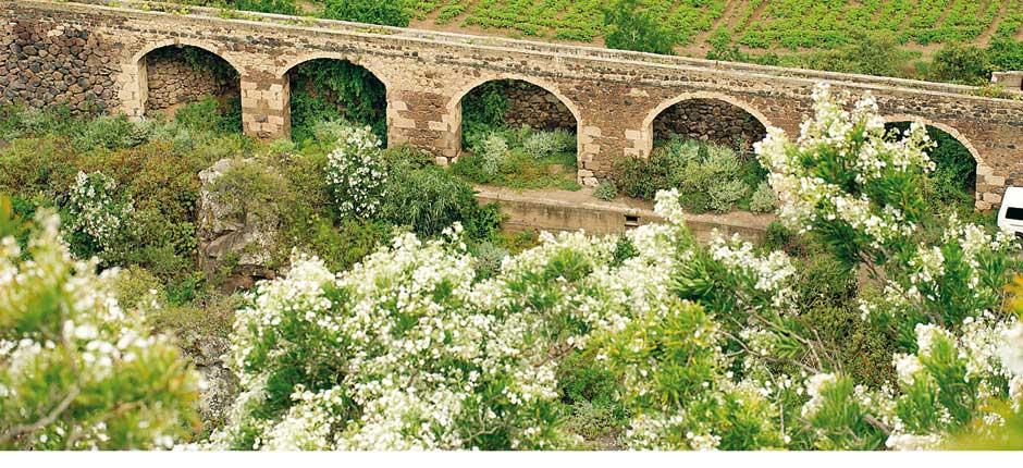 Jardín Botánico Viera y Clavijo Museen und Orte von touristischem Interesse auf Gran Canaria