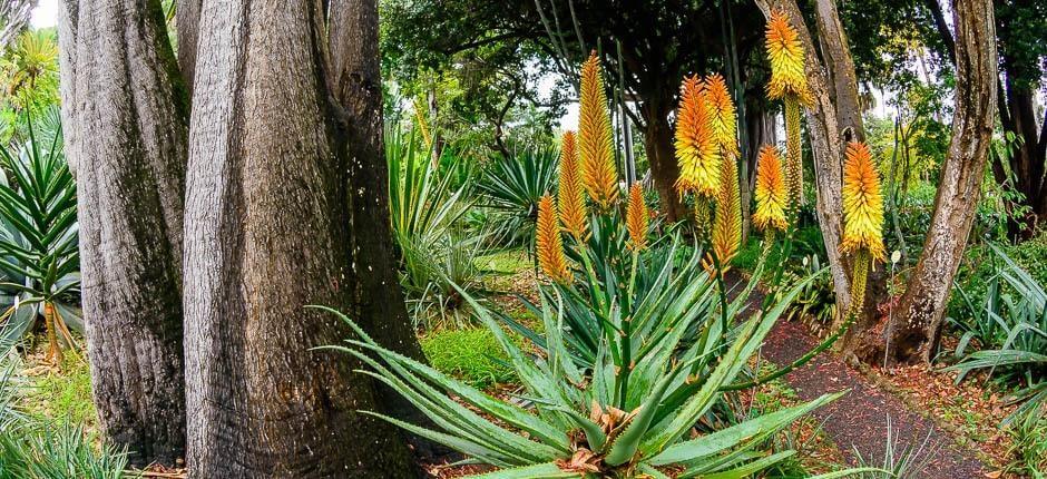 Jardín de Aclimatación de La Orotava Museen und Orte von touristischem Interesse auf Teneriffa