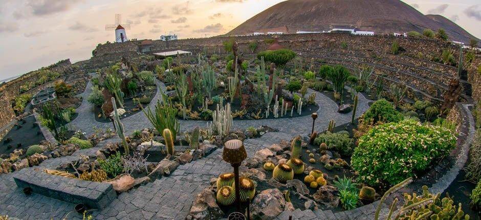 Jardín de Cactus Museen und Orte von touristischem Interesse auf Lanzarote