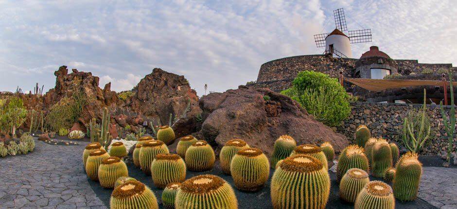 Jardín de Cactus Museen und Orte von touristischem Interesse auf Lanzarote