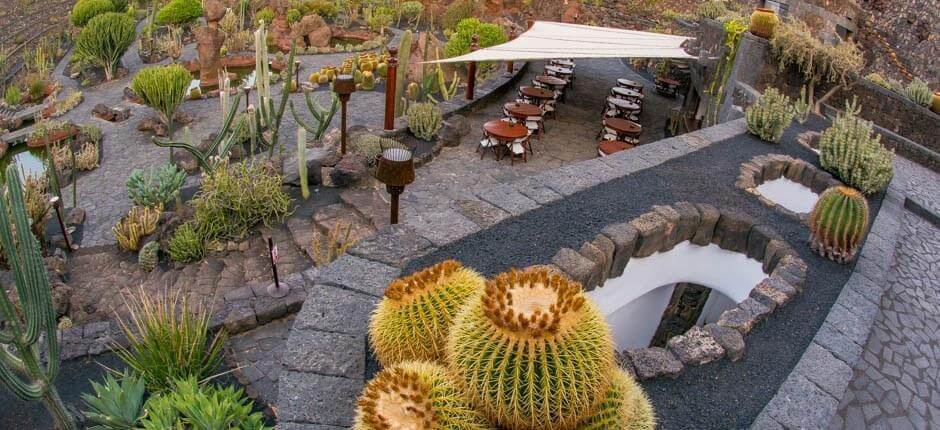 Jardín de Cactus Museen und Orte von touristischem Interesse auf Lanzarote