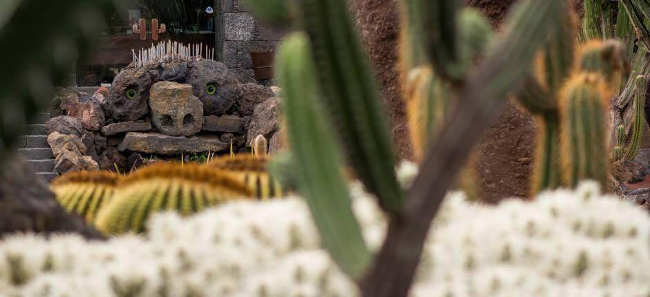 Jardín de Cactus Museen und Orte von touristischem Interesse auf Lanzarote