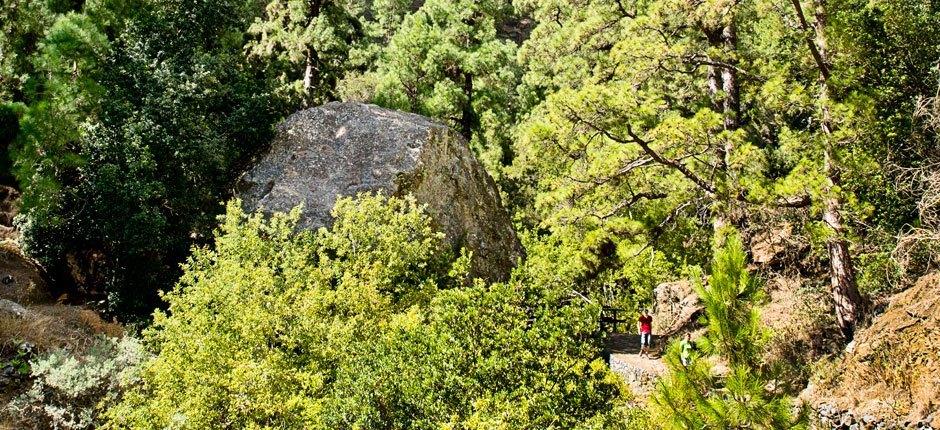 Caldera de Taburiente + Wanderwege auf La Palma