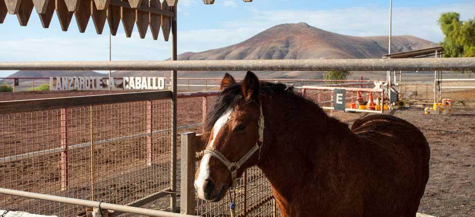 Lanzarote a Caballo  Touristische Attraktionen auf Lanzarote