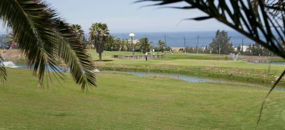 Las Palmeras Golf  Golfplätze auf Gran Canaria