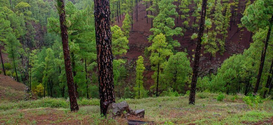 Las Tricias Dörfer auf La Palma