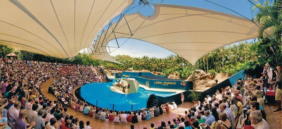 Loro Parque Zoos auf Teneriffa