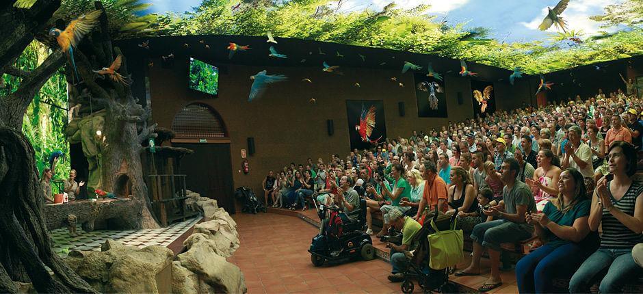 Loro Parque Zoos auf Teneriffa