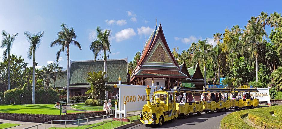 Loro Parque Zoos auf Teneriffa